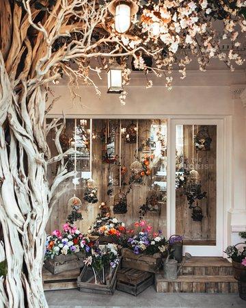 The Florist