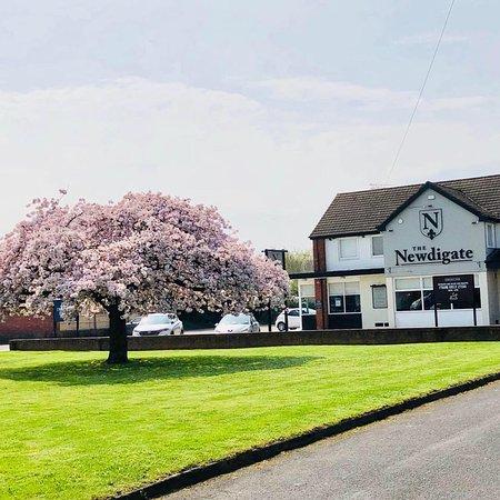 The Newdigate Arms
