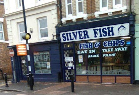 Silver Fish