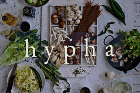 hypha