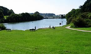 Radford Park