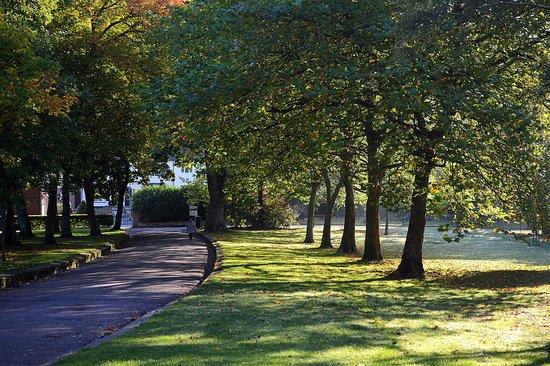 Haden Hill House Museum and Park