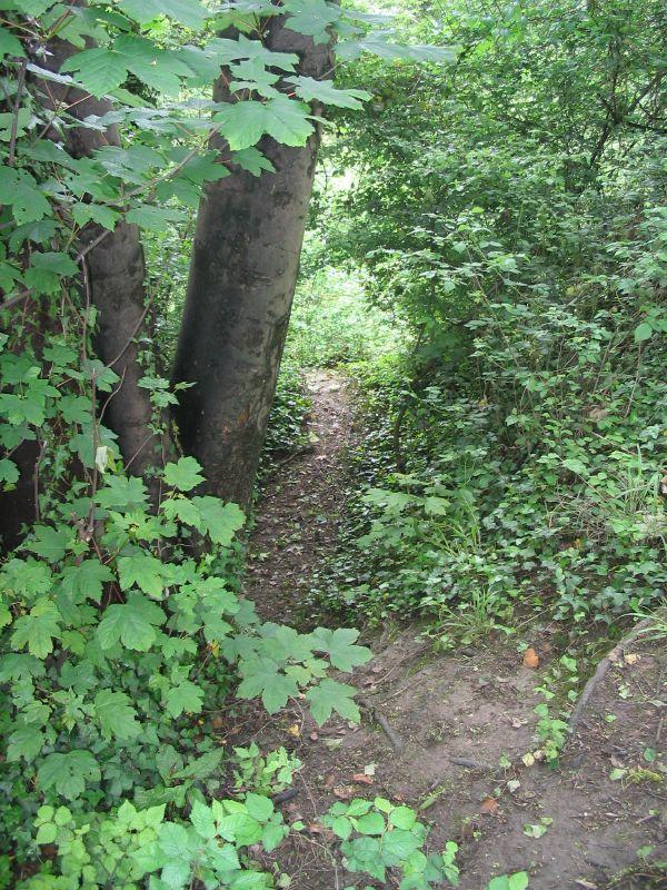 Hilsea Lines and Ramparts