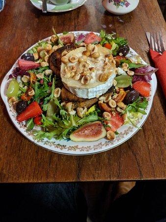 The Hairy Fig