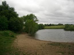 Molesey Heath Nature Reserve