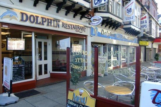 The Dolphin