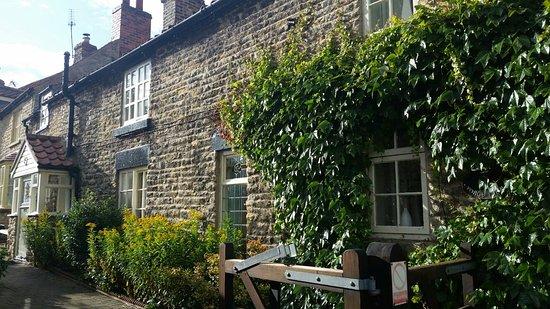 Thornton Dale Fisheries