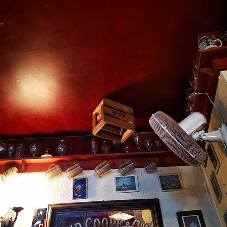 The Elm Tree