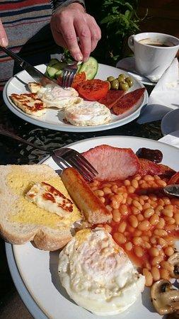 Mediterranean Cafe