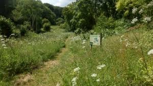 Dancersend Nature Reserve
