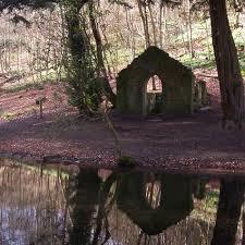 Rectory Wood