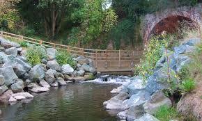 Rea Brook