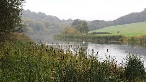 Sprotbrough Flash