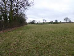 Boddington Meadow