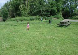 The Pennings