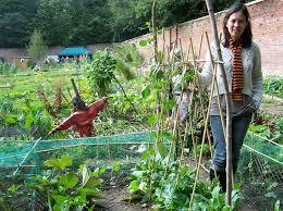 Bohemia Walled Garden