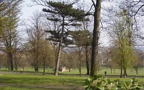 Spinney Hill Park