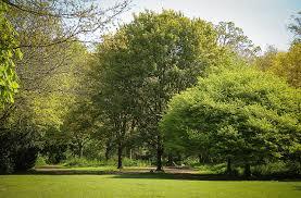 Camer Park Country Park