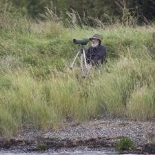 RSPB Berney Marshes