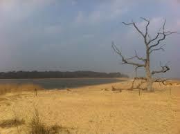 Benacre Broad