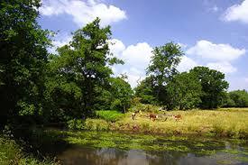 Blackwater River