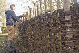 Coates English Willow