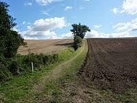 Newmarket Ridge
