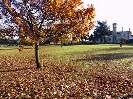Oaklands Park
