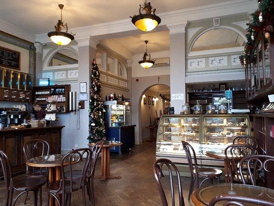 Chocolate Apothecary
