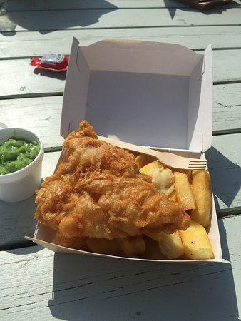 All Things Fish
