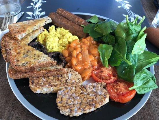 Sanctuary Vegan