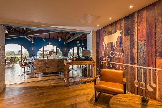 The Cow on the Hill