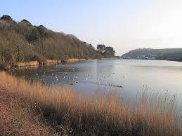 Swanpool, Cornwall