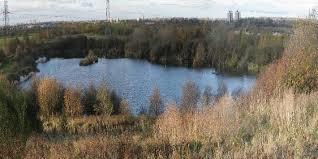 Cowpen Bewley Woodland Park