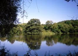 Lynsters Lake