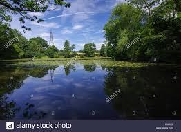 Bedelands Nature Reserve
