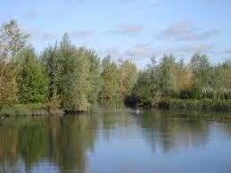 Ellenbrook Fields