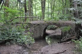Gobions Wood Nature Reserve
