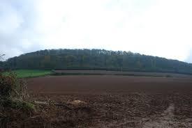 Aconbury Hill