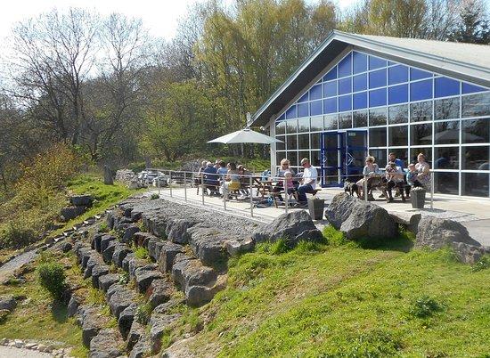 Blue Lagoon Cafe