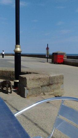 The Promenade Cafe