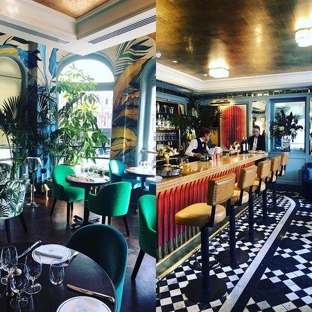 The Ivy