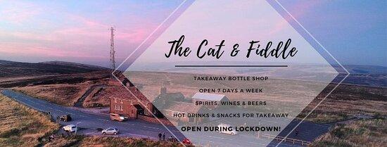Cat and Fiddle