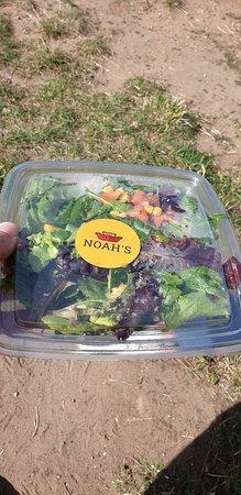Noah's