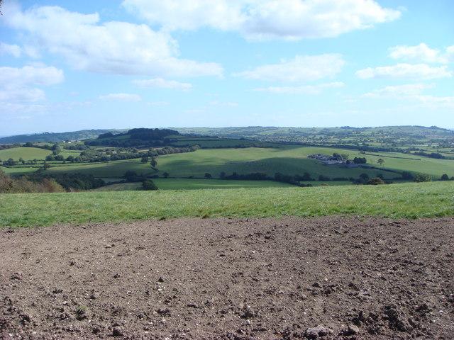 Seaborough Hill