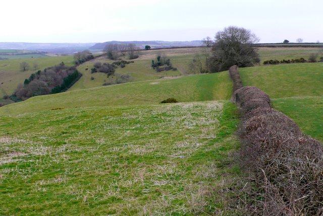 Watts Hill