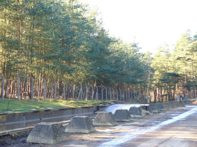 Hogmoor Inclosure