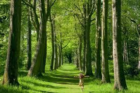 Thorp Perrow