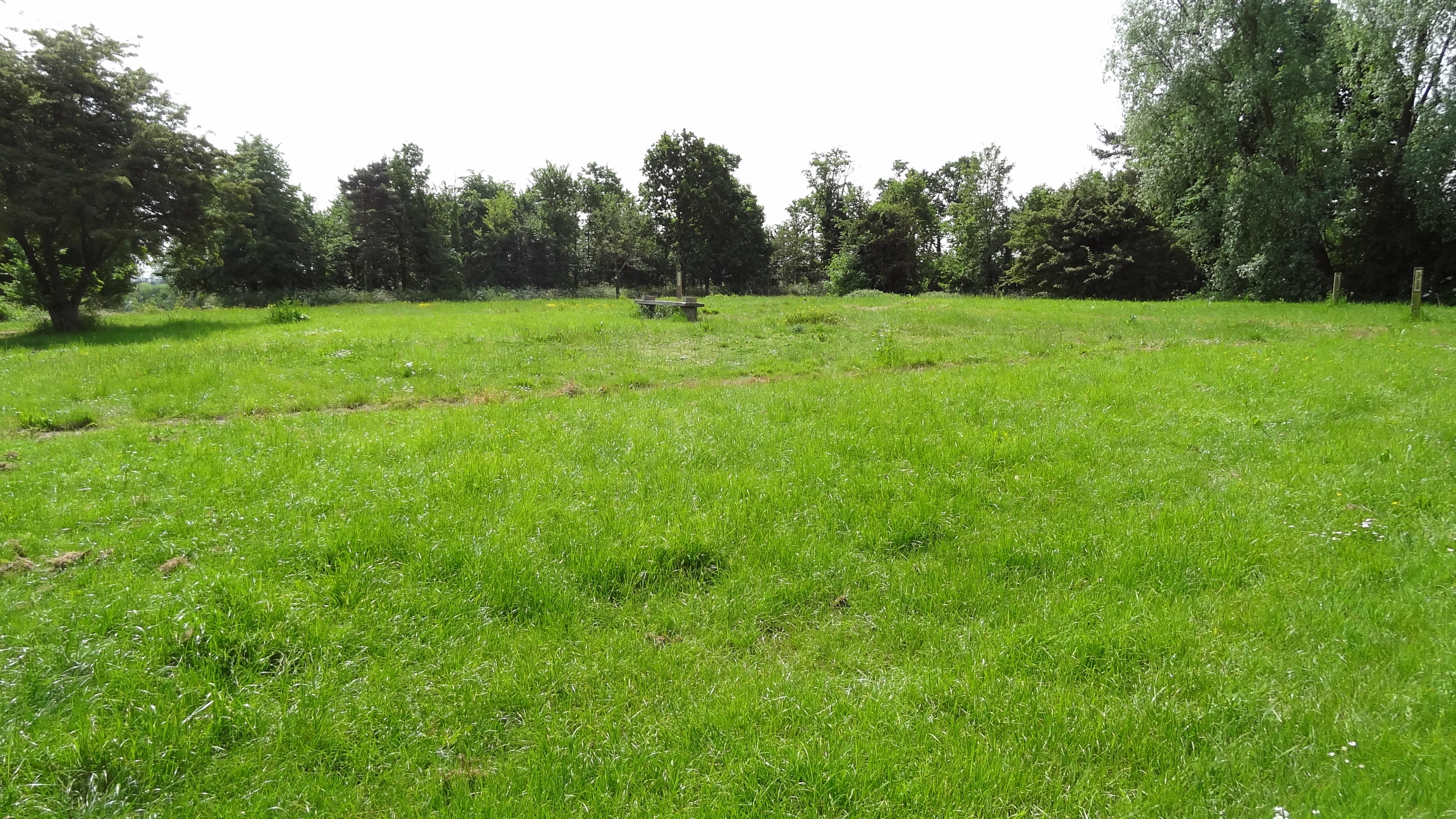Northolt Manor