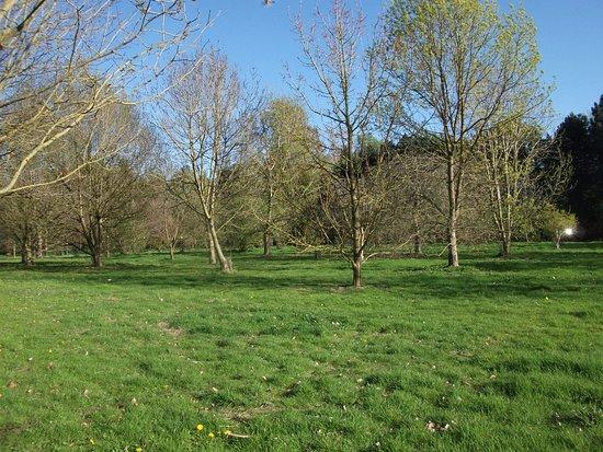 Lovell Quinta Arboretum